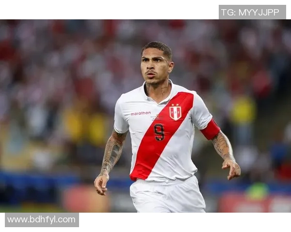 瑞典与秘鲁足球队激战正酣精彩对决引发球迷热议