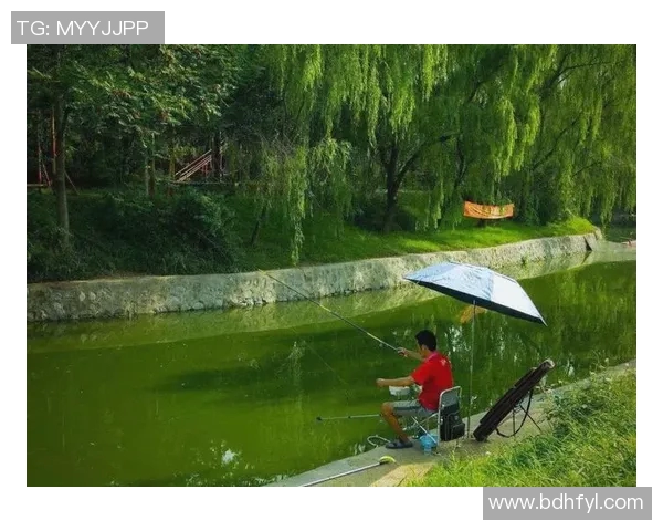 全面解析十一选五走势图助你精准把握选号趋势与技巧 全面解析十一选五走势图助你精准把握选号趋势与技巧