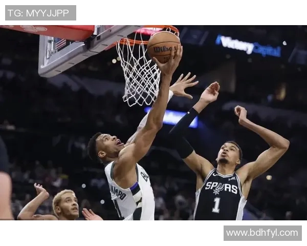 热火队与三猫队激战正酣球迷期待精彩对决与惊喜表现